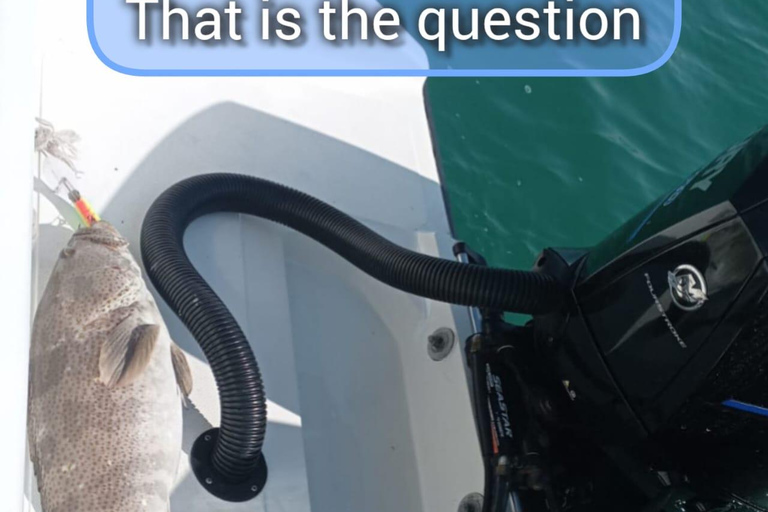 Doha: All Inclusive Guided Fishing Trip Doha: All Inclusive Guided Fishing Trip (1 to 7 people)