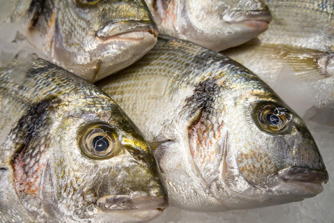 Djerba Seafood Experience: Beachfront Fish & Seafood Tasting Lunch or Dinner