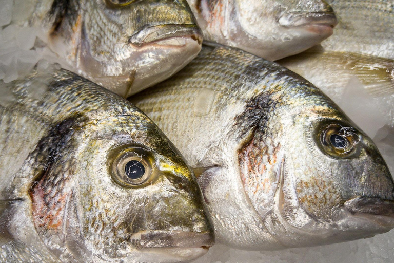 Djerba Seafood Experience: Beachfront Fish & Seafood Tasting Lunch or Dinner