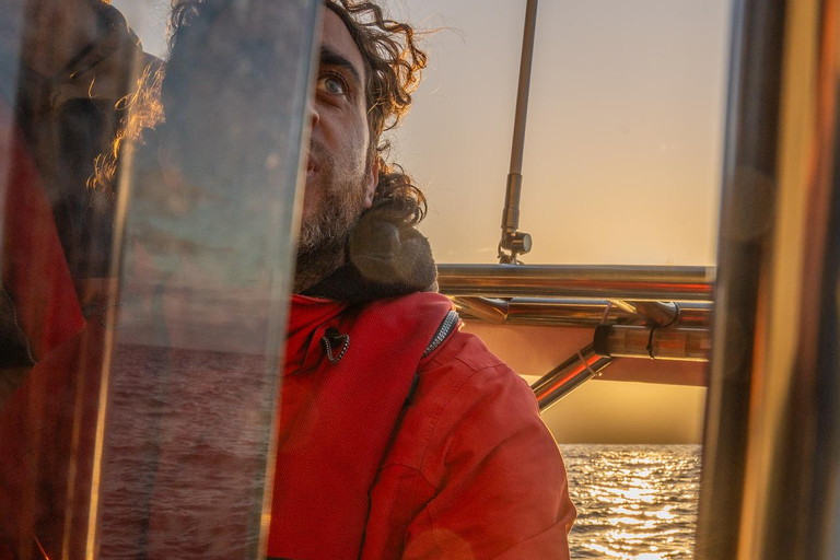 São Miguel: Sunset Boat Tour – Golden Light, Cliffs & Caves