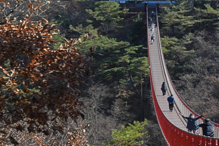 DMZ Zivile Kontrollzone+Suspensionsbrücke_Privater FührerDMZ+Lake Majang Hängebrücke