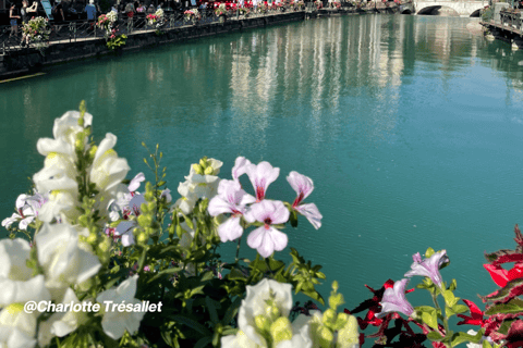 Annecy: Privé wandeltour met een lokale gidsAnnecy: 1 uur privéwandeltour met een lokale gids