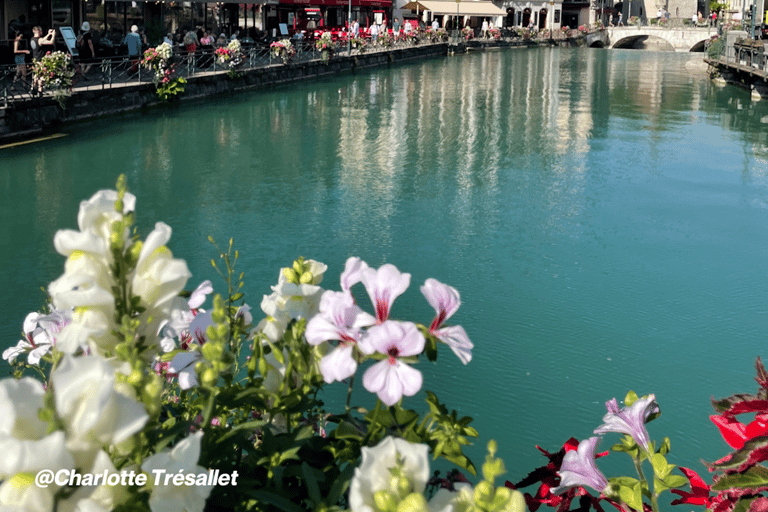 Annecy: Privé wandeltour met een lokale gidsAnnecy: 1 uur privéwandeltour met een lokale gids