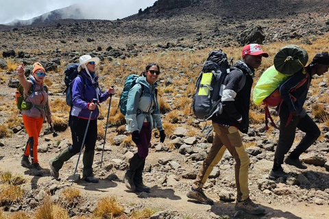 Kilimanjaro: 9 dias de caminhada na Rota do Circuito Norte