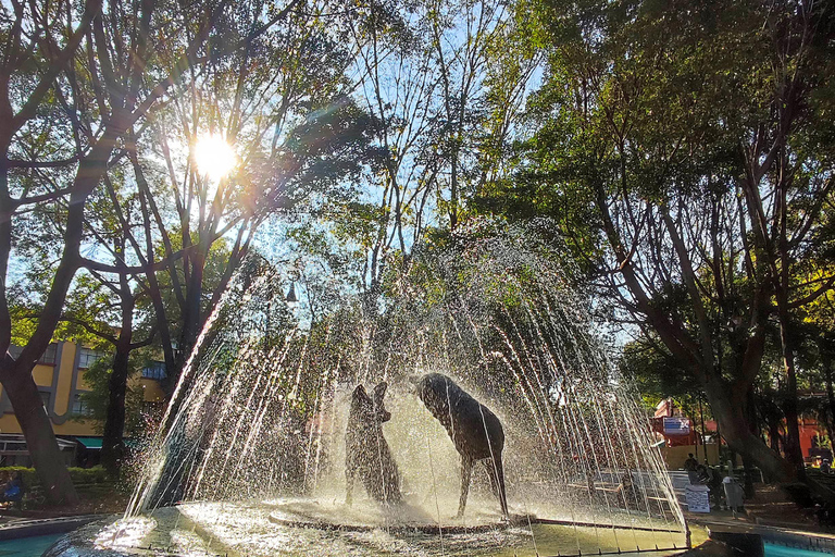 Billet d'entrée au musée Frida KahloMusée Frida Kahlo avec visite guidée à Coyoacán