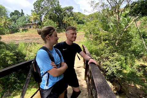 Tedo 7 Waterfalls Peak Adventure – Knuckles Mountain Range