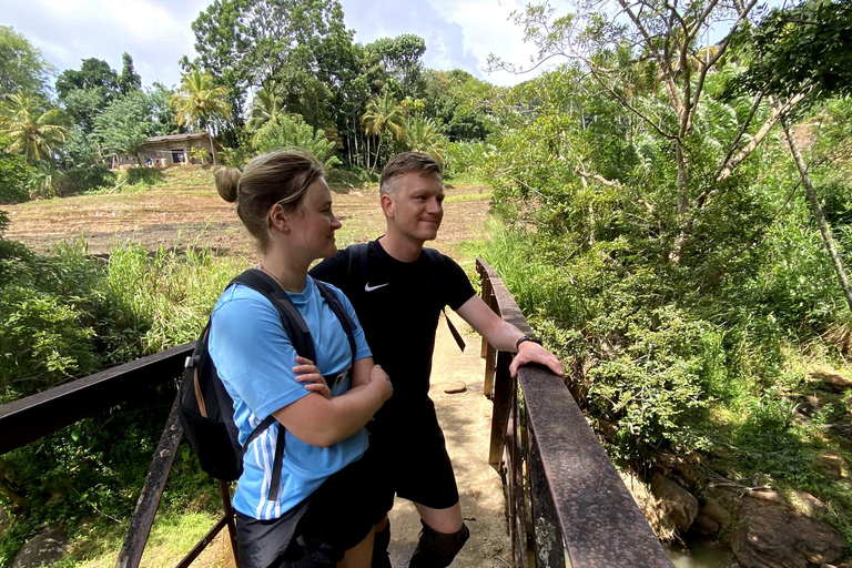 Tedo 7 Waterfalls Peak Adventure – Knuckles Mountain Range