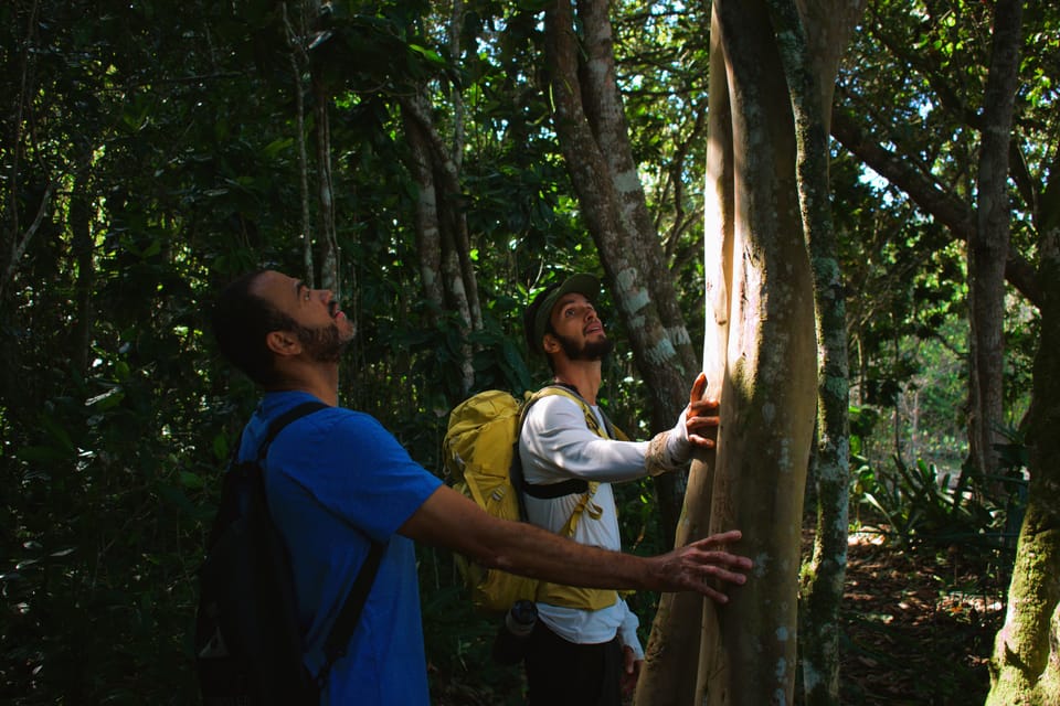 Exploring the Atlantic Forest near Ubatuba 