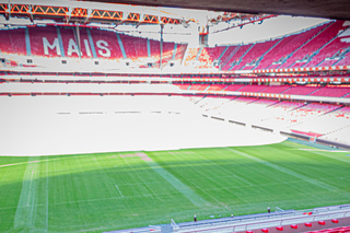 Lisbon: Benfica Stadium and Museum Tour with Lunch Voucher