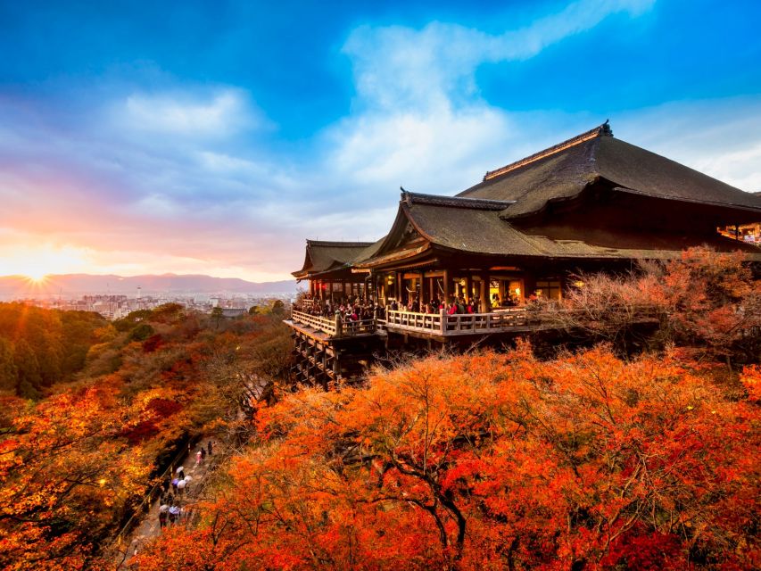 京都：文化遺産ハイライト 1 日ツアー | GetYourGuide