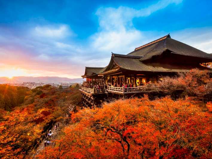 Kyoto: Topp høydepunkter Heldagstur
