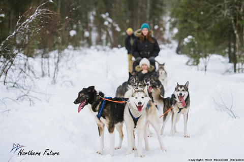 Encuentro con Papá Noel & Safari con renos del Ártico & Abrazo a los huskies