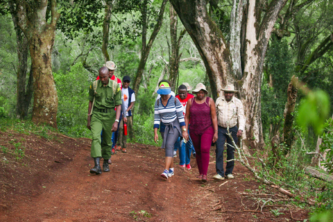 Tagestour zum Karura Forest Nature Trail