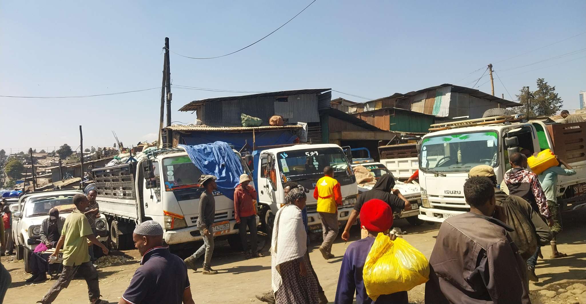Addis Ababa（8-9）時間の1日のシティツアー - Hizvo