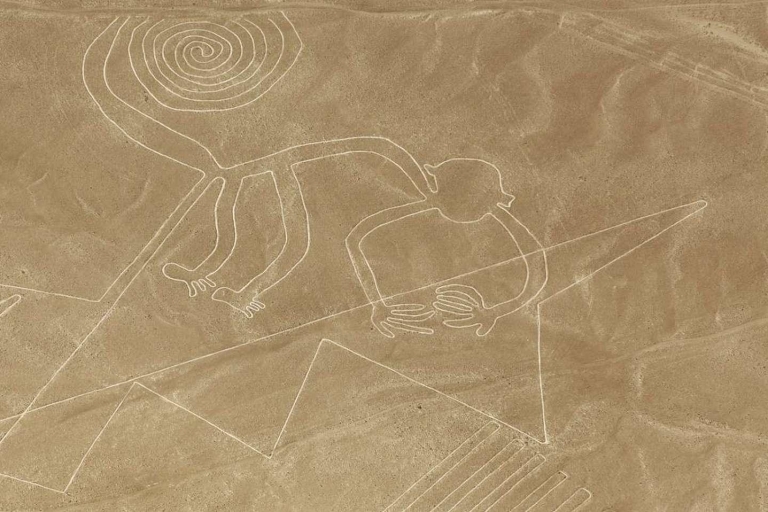 Linie Nazca - całodniowa wycieczka z Limy: przelot nad mistycznymi geoglifami