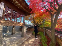 Seoul, Stadt-Highlights Führung mit Pickup und Drop-off - Hizvo