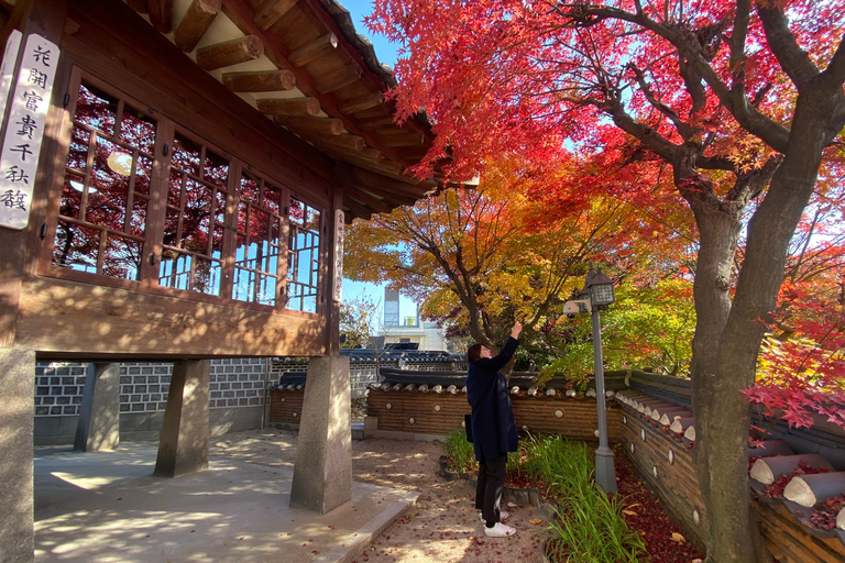 Seoul: Geführte Tour zu den Highlights der Stadt mit Abholung und Rückgabe