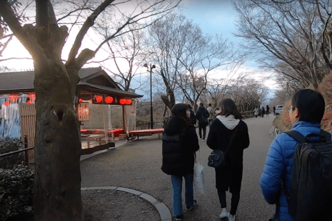 From Osaka/Kyoto: Kyoto Full-Day Sightseeing Private Tour