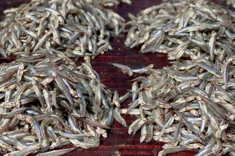 Bagamoyo: Explore Historic Slave Trade Route & Kaole Ruins