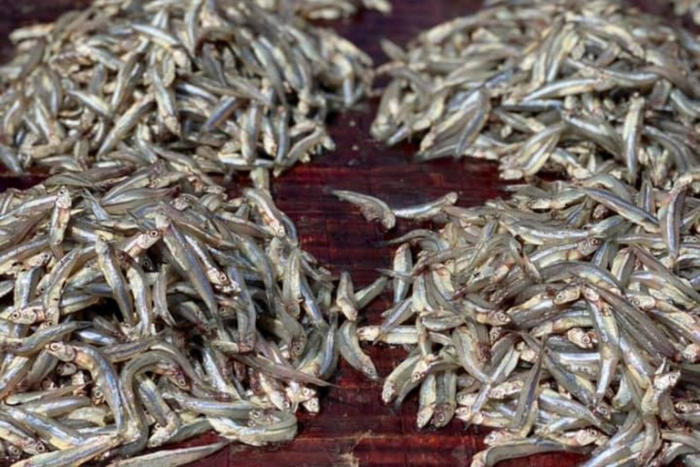 Bagamoyo: Explore Historic Slave Trade Route & Kaole Ruins