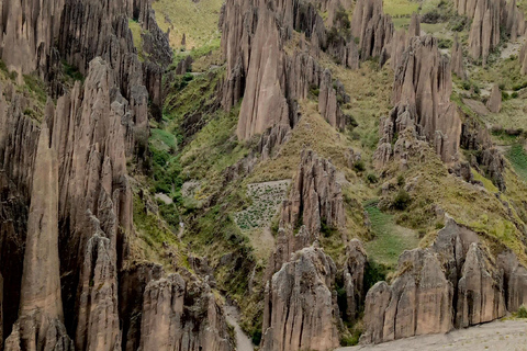 Visite d'une demi-journée Valle de las animas, vallée de la lune, killi killi