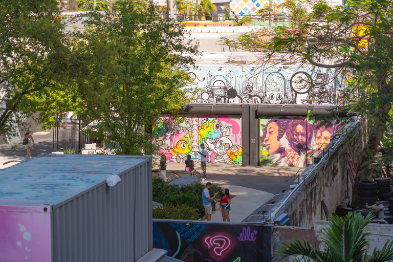 Miami: Wynwood Walls Skip-the-Line Ticket (Direct Entry)
