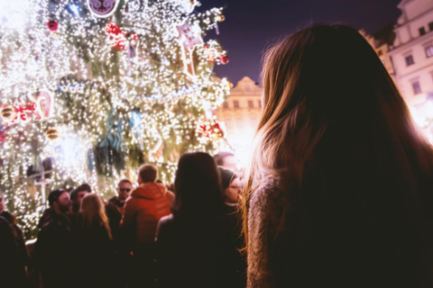 Trieste: Ljubljana Christmas Market Tour