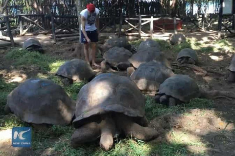 Mnemba island, jozani forest and Prison island