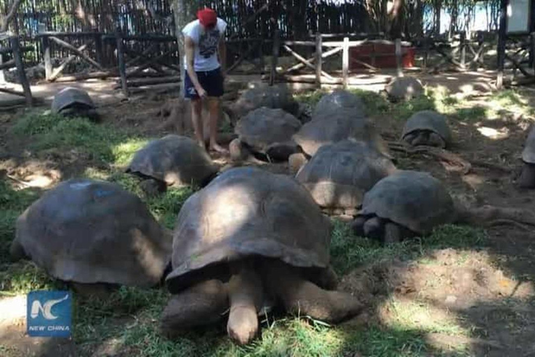 Mnemba island, jozani forest and Prison island