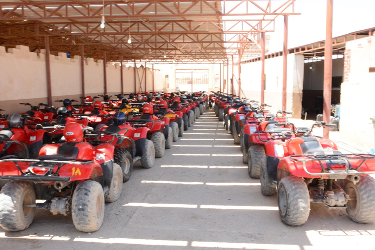 Makadi Bay: Sunset Quad &amp; ATV Adventure &amp; SeaviewSunrise Quad Bike, Camel and Bedouin Breakfast