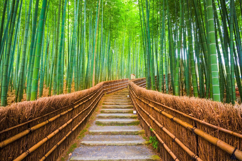 Kyoto & Nara Private Tour with English Speaking Guide