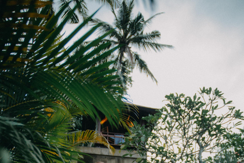 Bali: Ubud Hotel or Resort Professional Photo Shoot