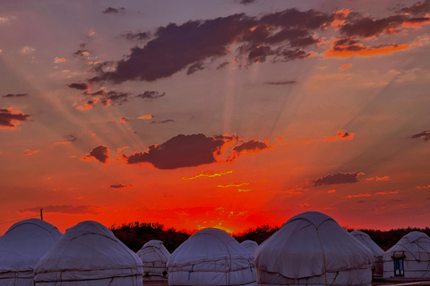 From Bukhara/Samarkand: 2-Day Aydarkul Lake & Yurt Camp Tour Private tour to Aydar Lake & Yurt from Bukhara to samarkand