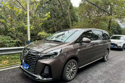 Private Tour: Discovering Pandas & the Majestic Giant Buddha Self-Guided: Discovering the Leshan Giant Buddha in a Day