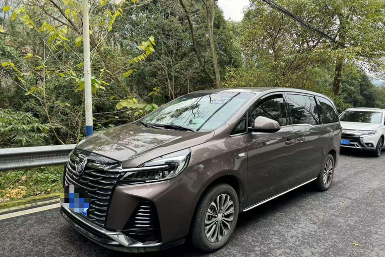 Private Tour: Discovering Pandas & the Majestic Giant Buddha Self-Guided: Discovering the Leshan Giant Buddha in a Day