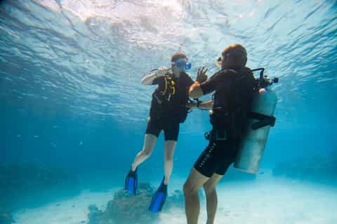 Bora Bora : baptême de plongée