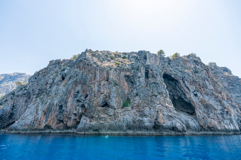 Mallorca: Island Tour with Boat & Train Ride from the South