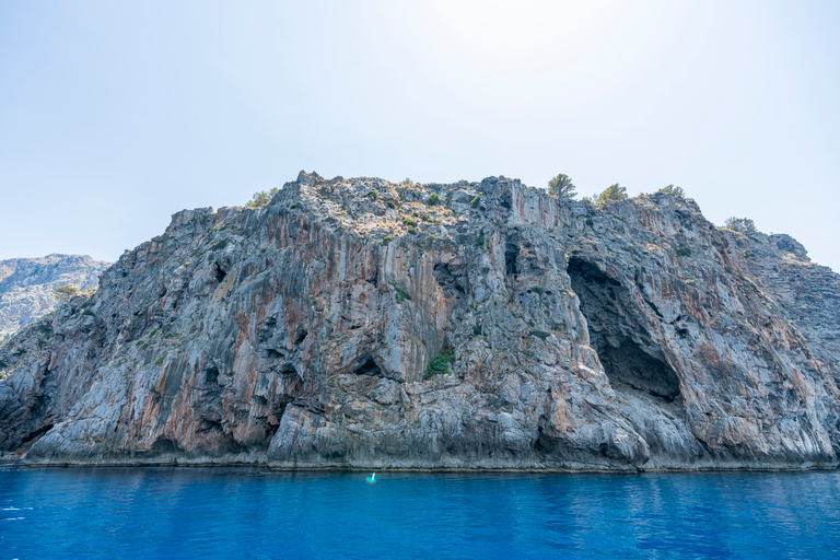 Mallorca: Örundtur med båt, spårvagn och tåg från söder