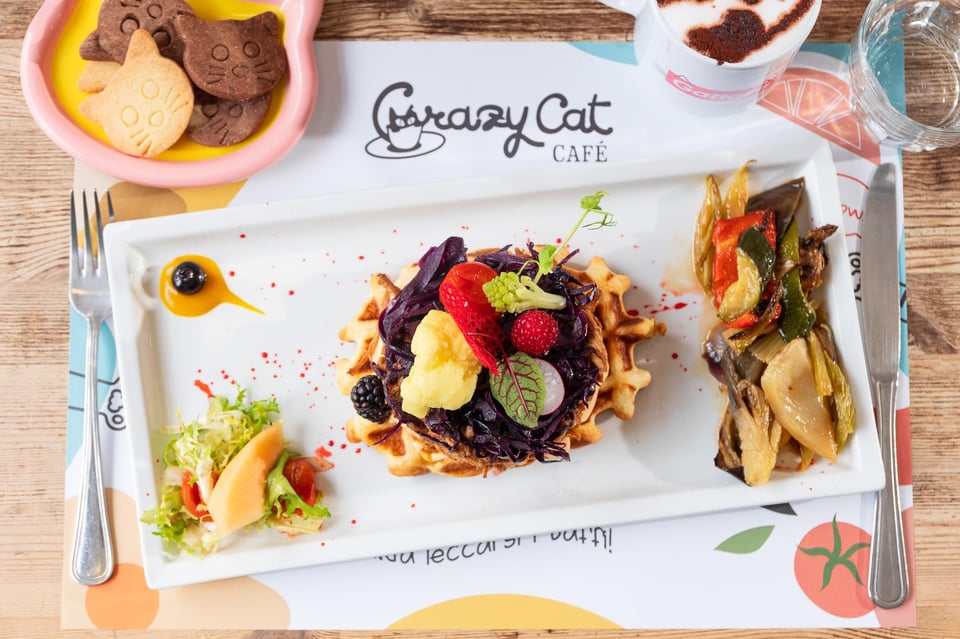 Brunch mit Katzen und herzhaften Waffeln in Mailand Brunch mit Katzen ...