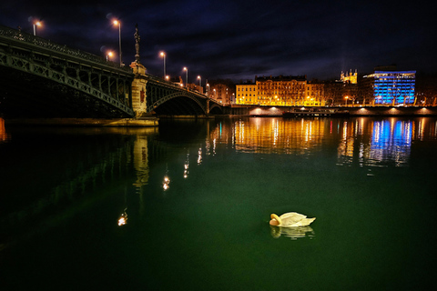 Lyon: Group Night Tour of Lyon Lyon: Evening Group Tour of Lyon