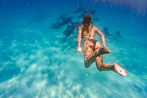 Isola di Mnemba: Nuoto con i delfini e snorkeling con pranzo opzionale