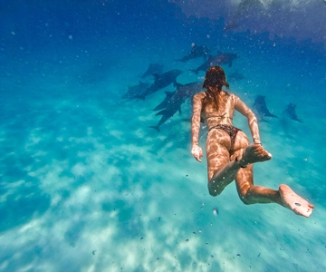 Mnemba Island: Dolphin Swim & Snorkeling with Optional Lunch