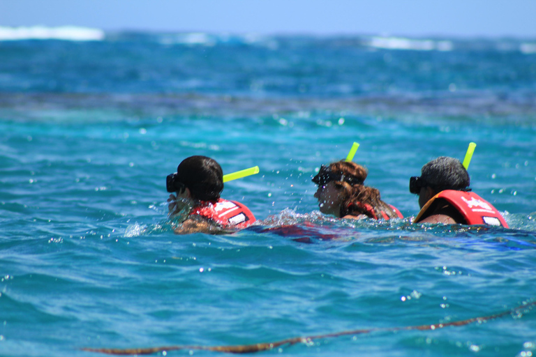 Cancún: een jungleavontuur aan boord van een speedboot en snorkelen