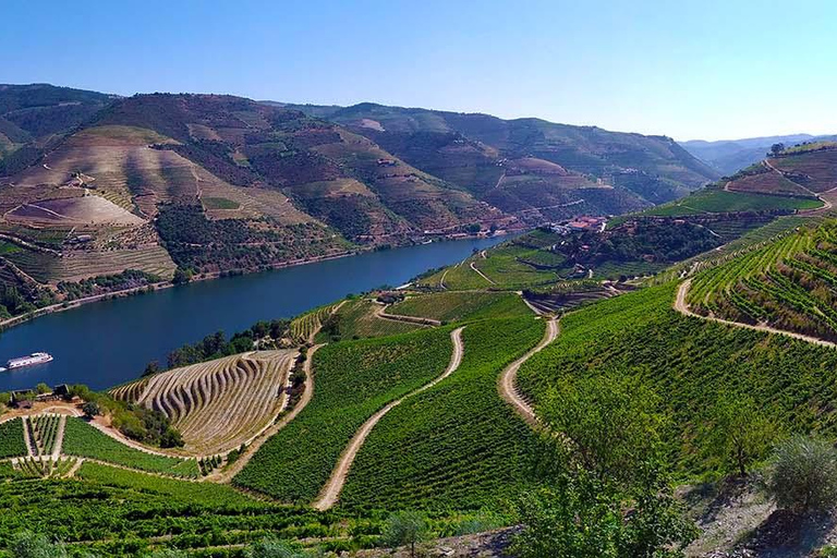 From Porto: Small-Group Douro Valley Wine Tour Lunch & Boat
