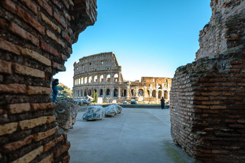 Rome: Colosseum Arena Tour & Domus Aurea with VR Experience Colosseum & Domus Aurea Tour & VR Experience - French