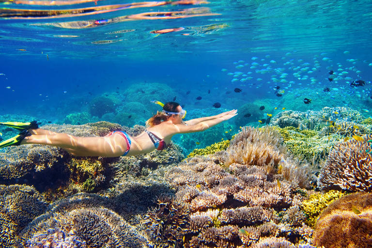 5 Passeio de barco e mergulho com snorkel em Gili Secret no sudoeste de Lombok