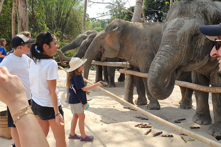 Siem Reap: Tur i liten grupp till Kulen Elephant ForestSiem Reap: Smågruppstur till Kulen Elephant Forest