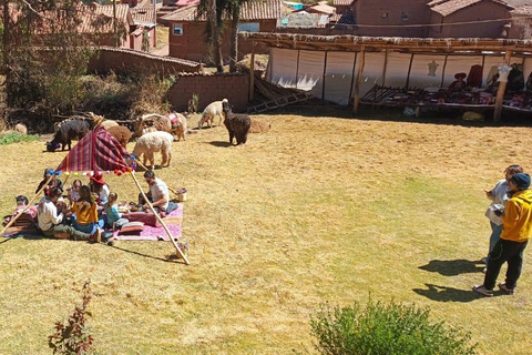 Cuzco: Ñujchu Valley Tour with Pachamanca Lunch