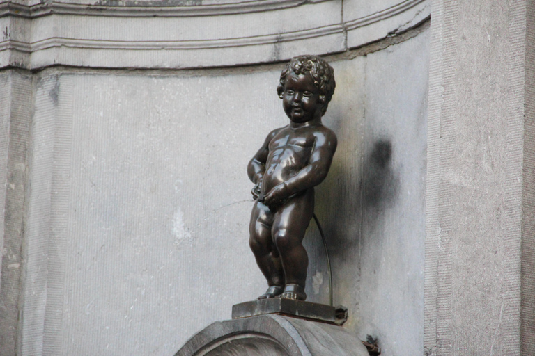From Paris: Waterloo & Brussels Highlights Full-Day Tour