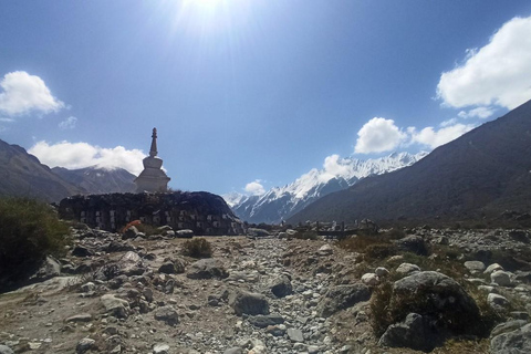 Kathmandu: 9-Day Langtang Gosaikunda Trek with Transfers 9DayLangTangGosain